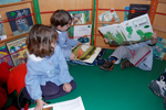 Cliccare per ingrandire