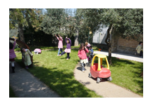Clicca per ingrandire l`immagine